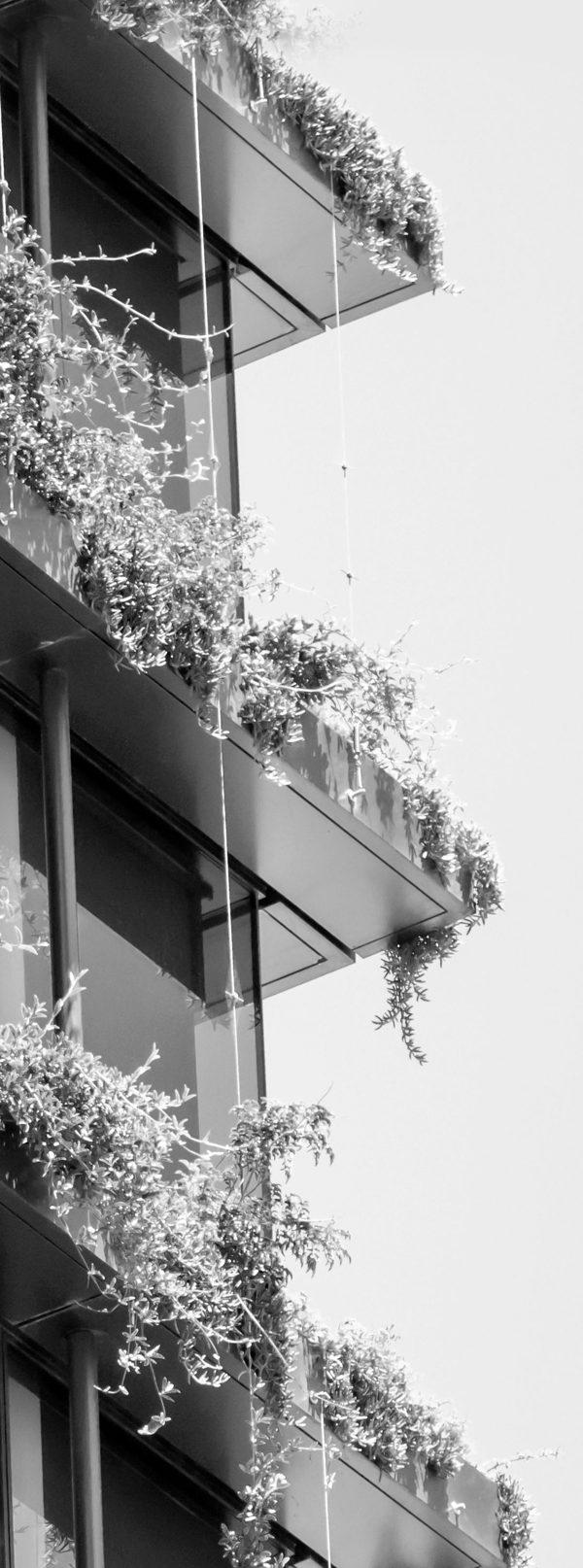 Façade d’immeuble avec balcons végétalisés