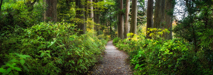 Défiscalisation GFI : Quel Groupement Forestier d Investissement choisir ? 