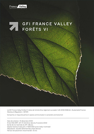 GFI France Valley For�ts VI