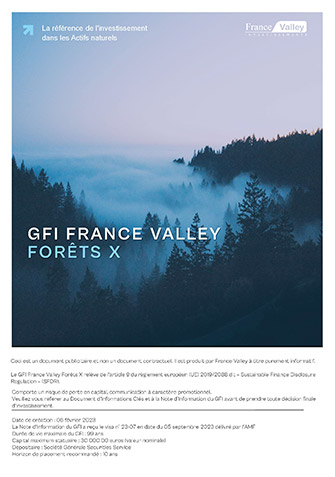 GFI France Valley For�ts X 
